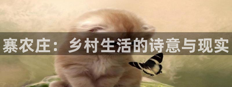 fh至尊吧百度贴吧