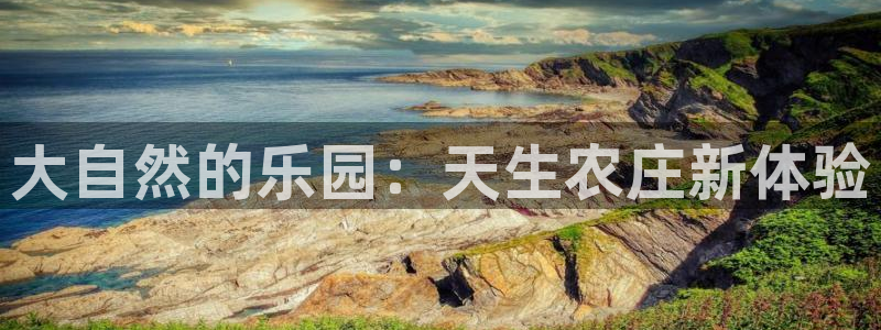 fh至尊最新版本