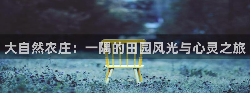 凤凰FH至尊