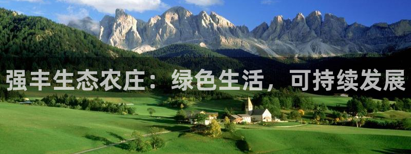 FH至尊平台怎样