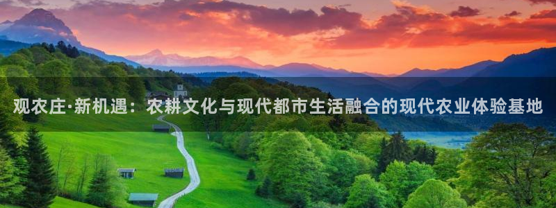 fh至尊是老凤凰平台吗