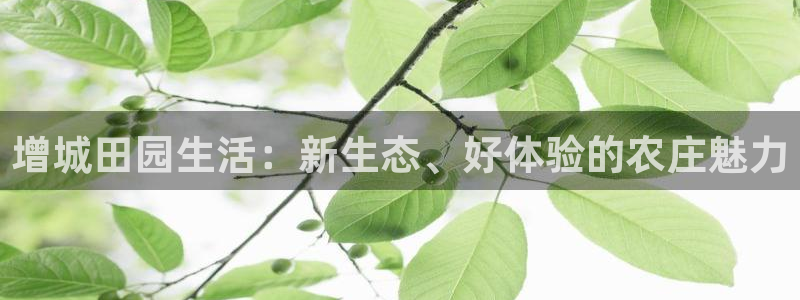 fh至尊安全吗