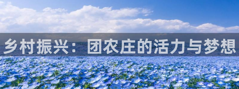 FH至尊平台怎么样