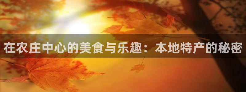凤凰FH至尊