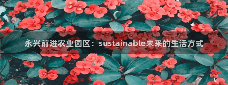 fh至尊平台靠谱吗