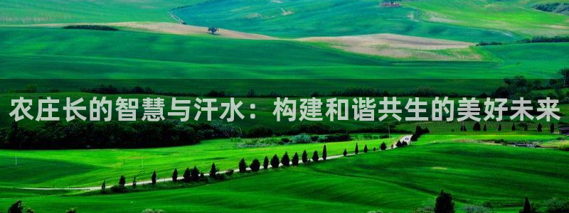 FH至尊平台老板是谁