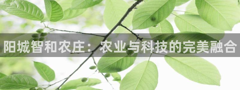 fh至尊是老凤凰吗