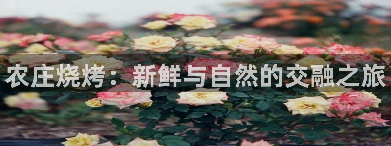 fh至尊凤凰官方旗舰店