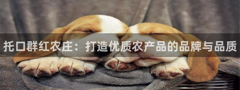 fh至尊平台坑人