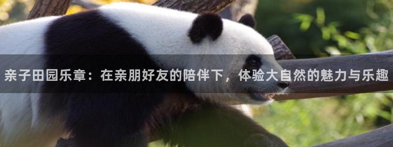 fh至尊平台网页地址