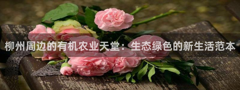 fh至尊游戏安全平台