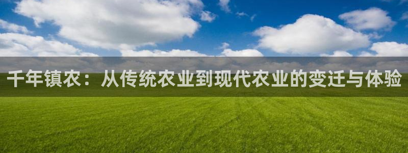 fh至尊基础奖金多少
