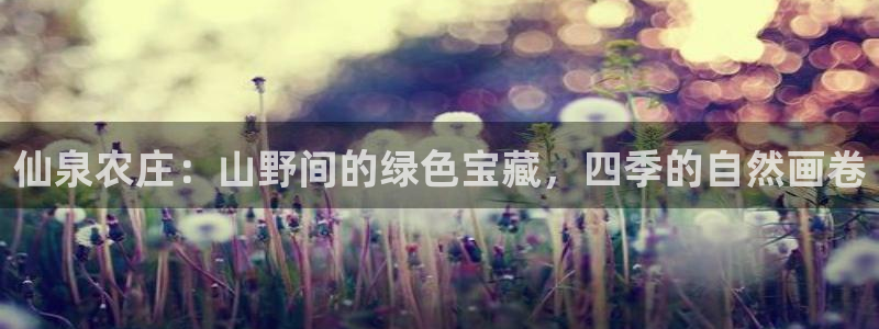 fh至尊平台安全密码忘记了
