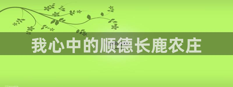 fh至尊20