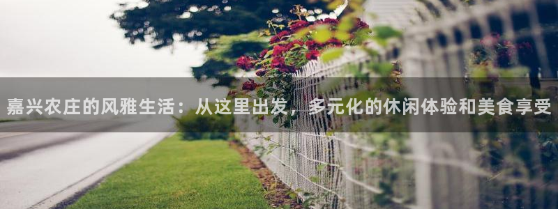FH至尊平台是什么平台