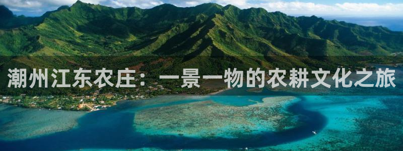 fh至尊凤凰代理