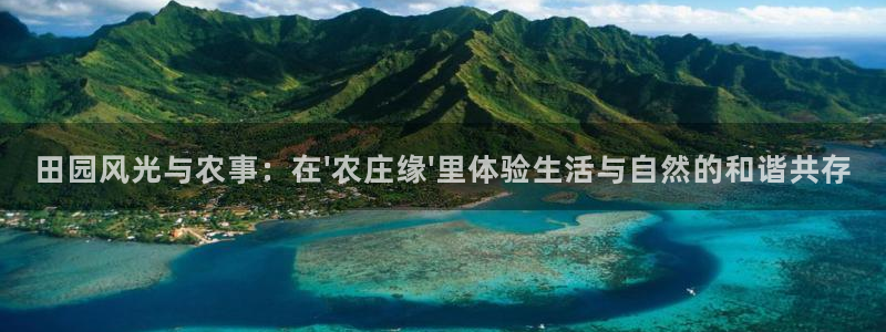 fh至尊平台玩的人多吗