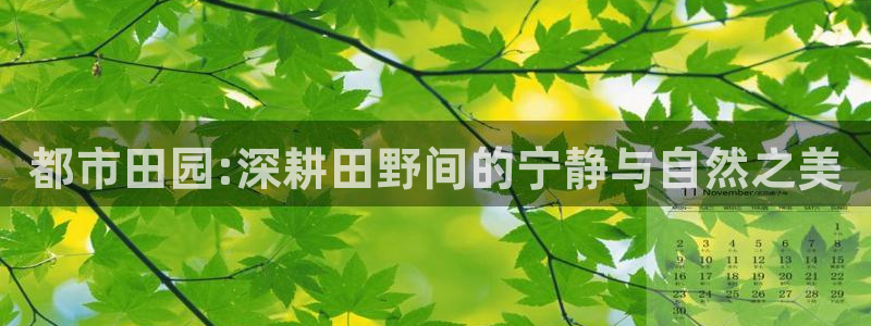 FH至尊黑钱