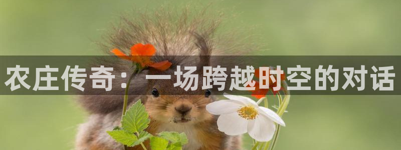 fh至尊最新版本