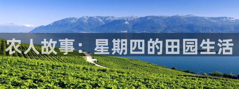 fh至尊是老凤凰平台吗