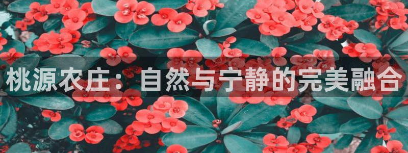 FH至尊隶属哪家公司