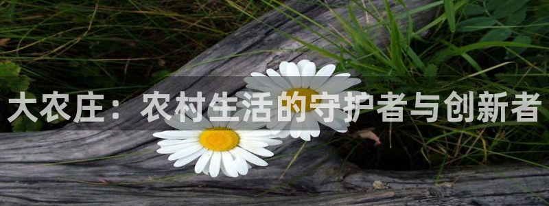 FH至尊是正规平台吗