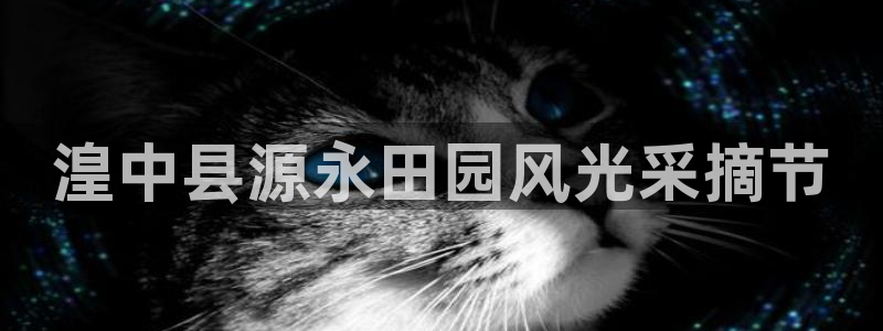 FH至尊黑钱