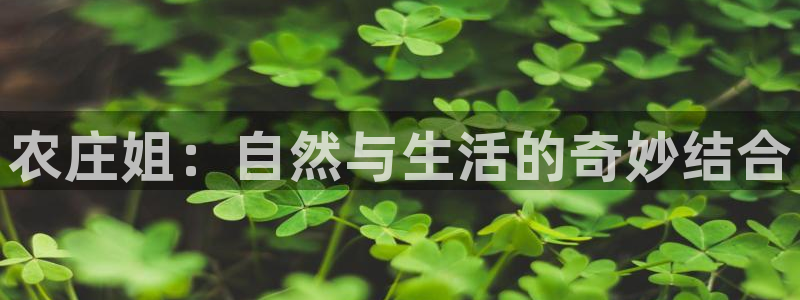 FH至尊出问题了