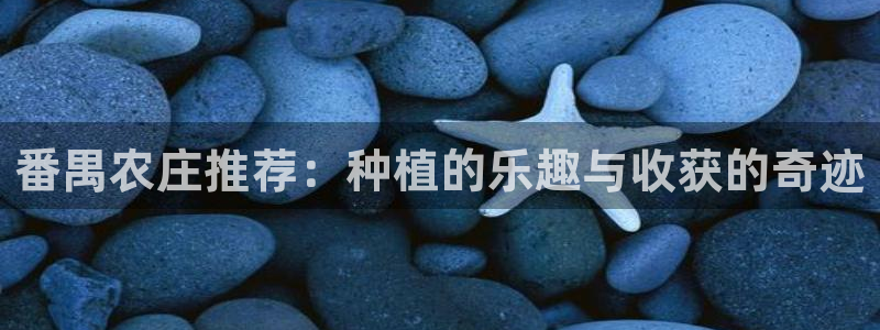 至尊FH平台