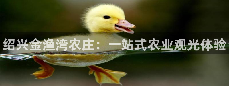 FH至尊黑钱