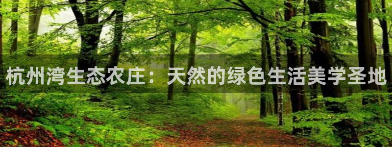 至尊FH下载