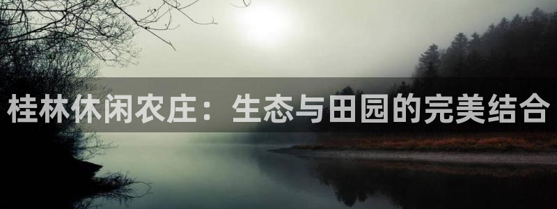 fh凤凰至尊