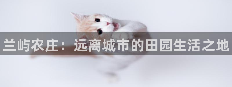 fh至尊凤凰官方旗舰店