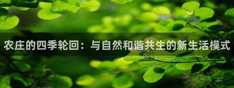 fh至尊