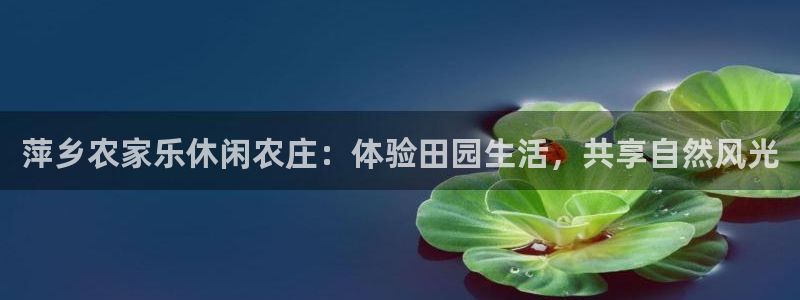 FH至尊信誉怎么样