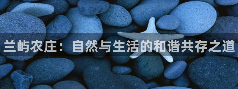 FH至尊apk