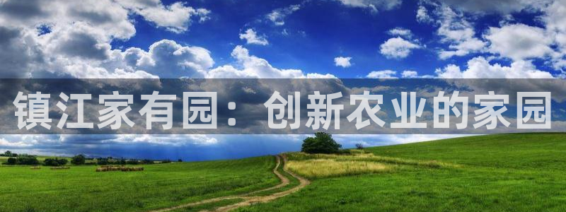 fh至尊平