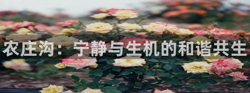 fh至尊平台坑人的原因