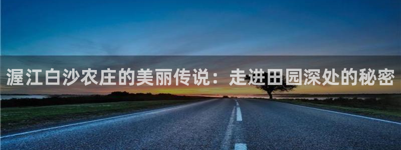 fh至尊平台多少年了