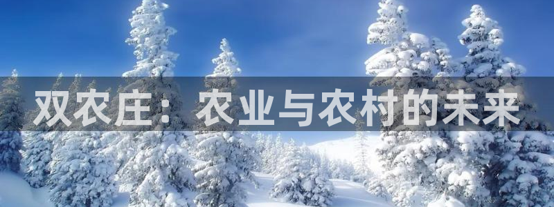FH至尊apk