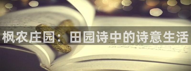 fh至尊闪退
