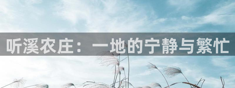 FH至尊不给提现