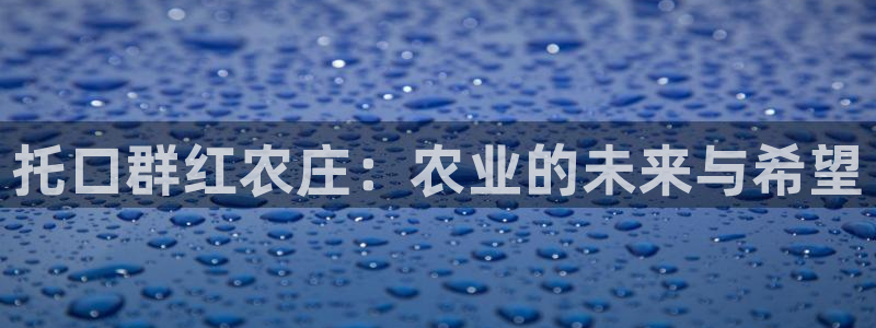 fh至尊平台安全密码忘记了