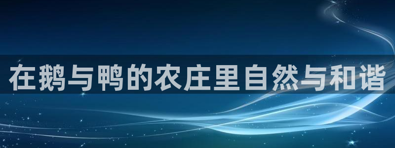 fh至尊平台黑钱