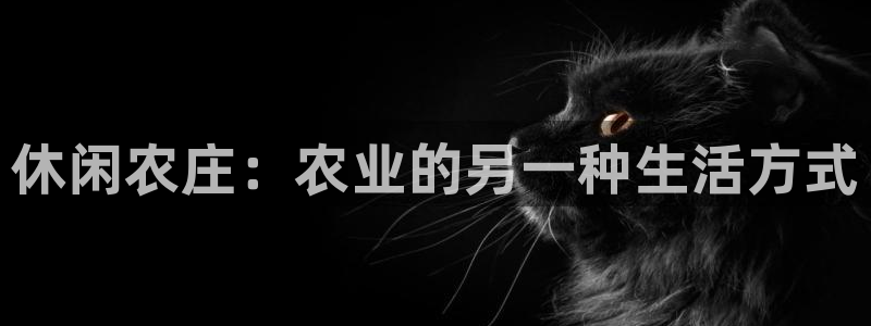 fh至尊凤凰平台下载