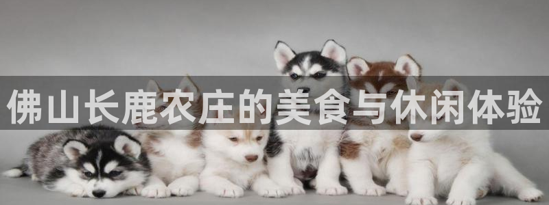 fh至尊游戏彩票
