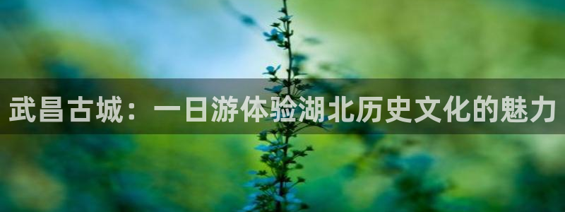 老凤凰改名FH至尊黑钱