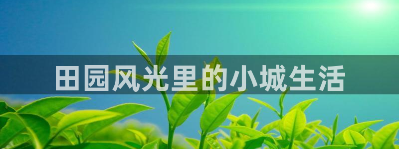 fh至尊手机端进不去