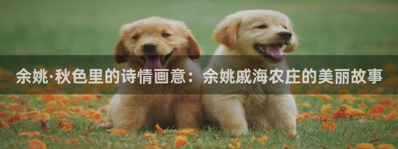 FH至尊公安