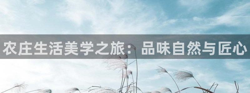 FH至尊版